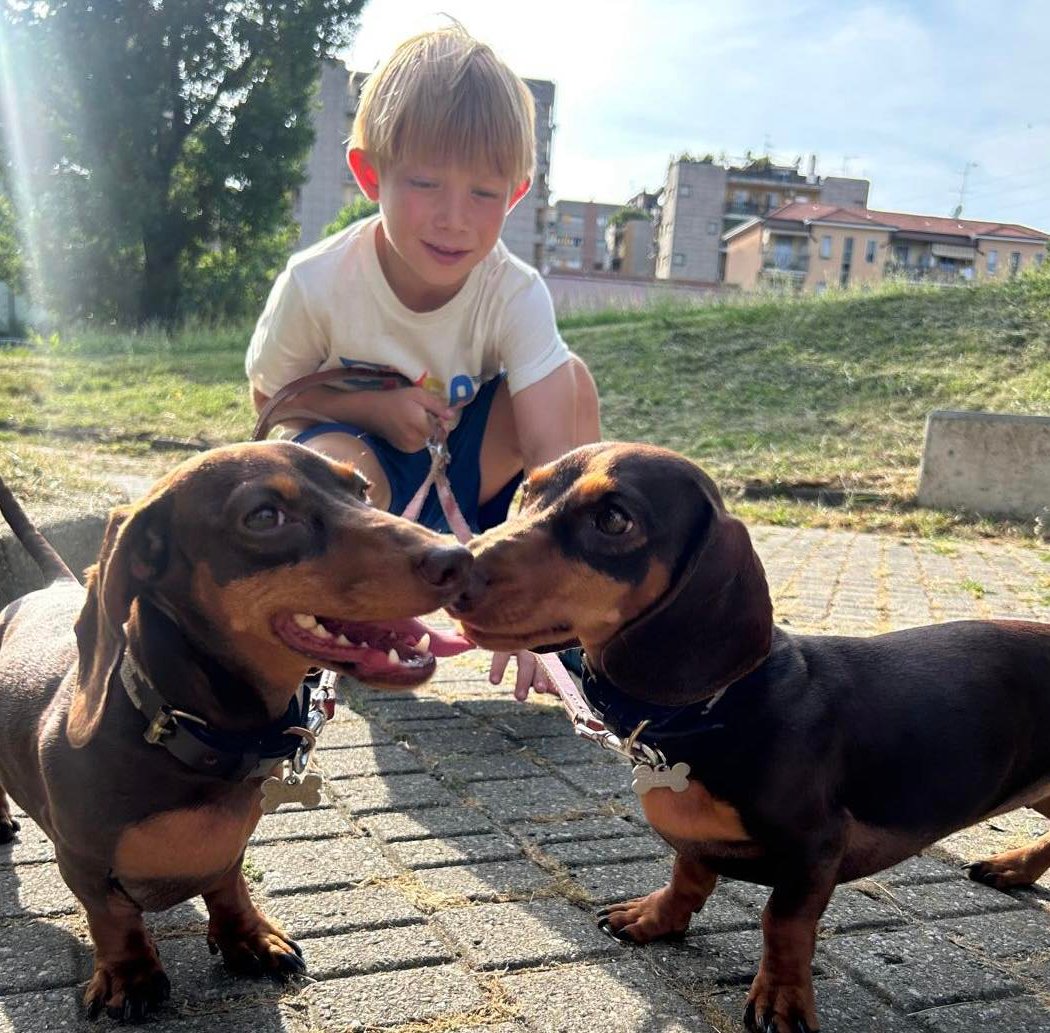 Complicità unica tra cani e bambini 1