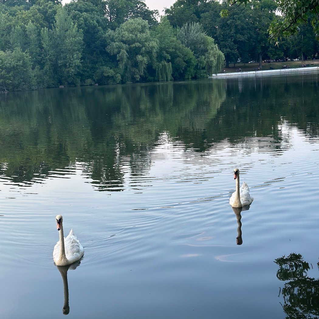 Kissena Lake 2