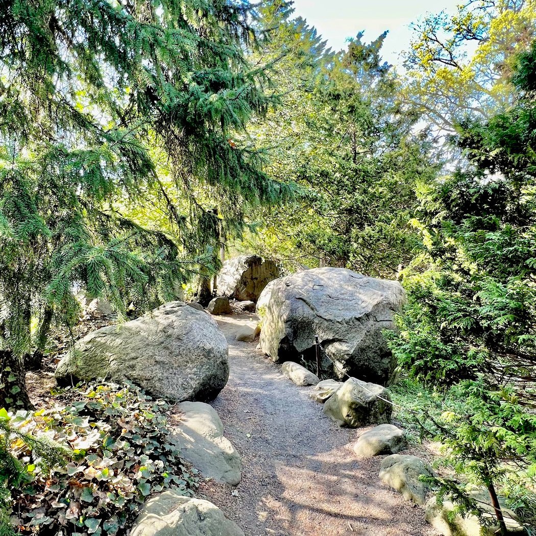 Rock Garden 2