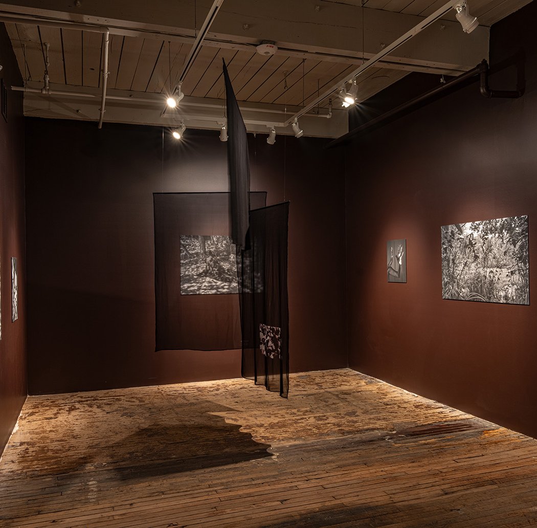 Upstate Photography Biennial 3