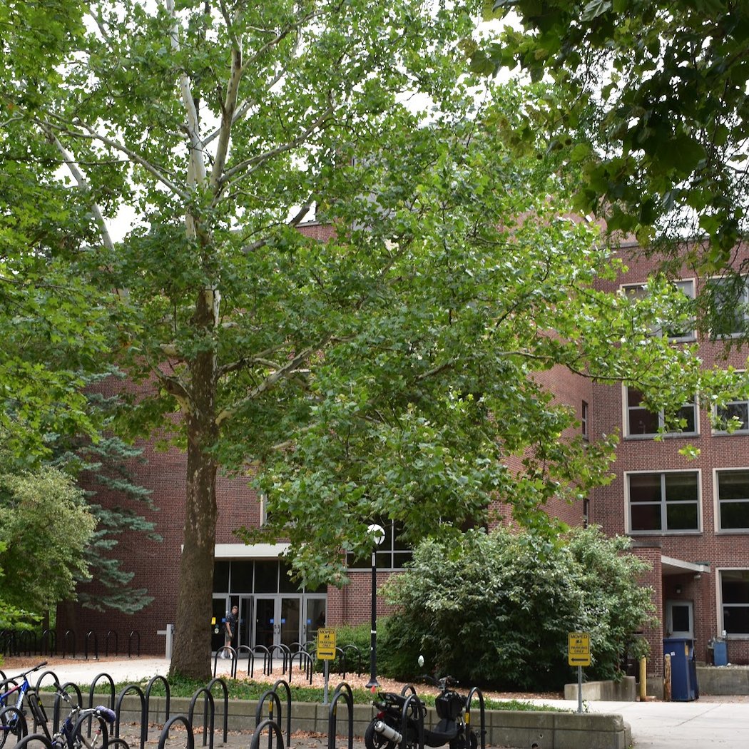 Mason Hall 2