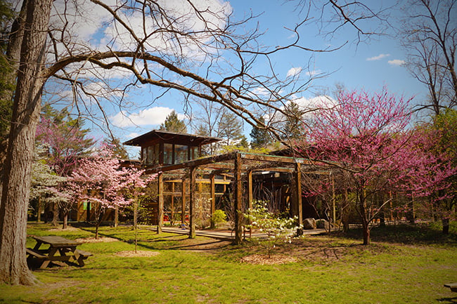 Bernheim Forest and Arboretum 3