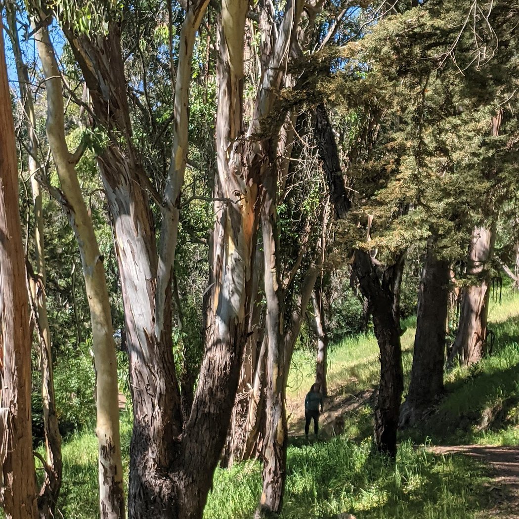 Philosopher's Way Trailhead 1