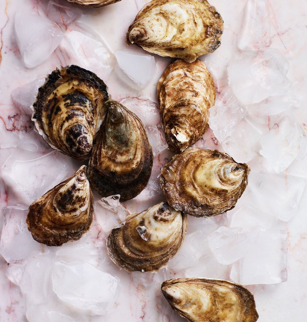 Oyster Party
