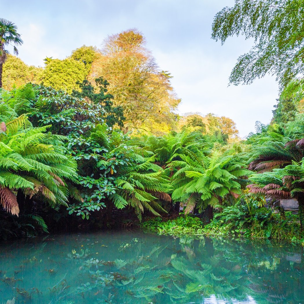 Trebah Garden 2
