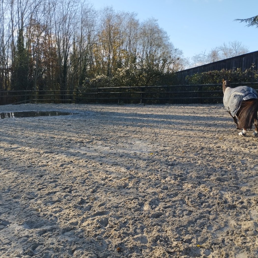 Porgy Equitation 2