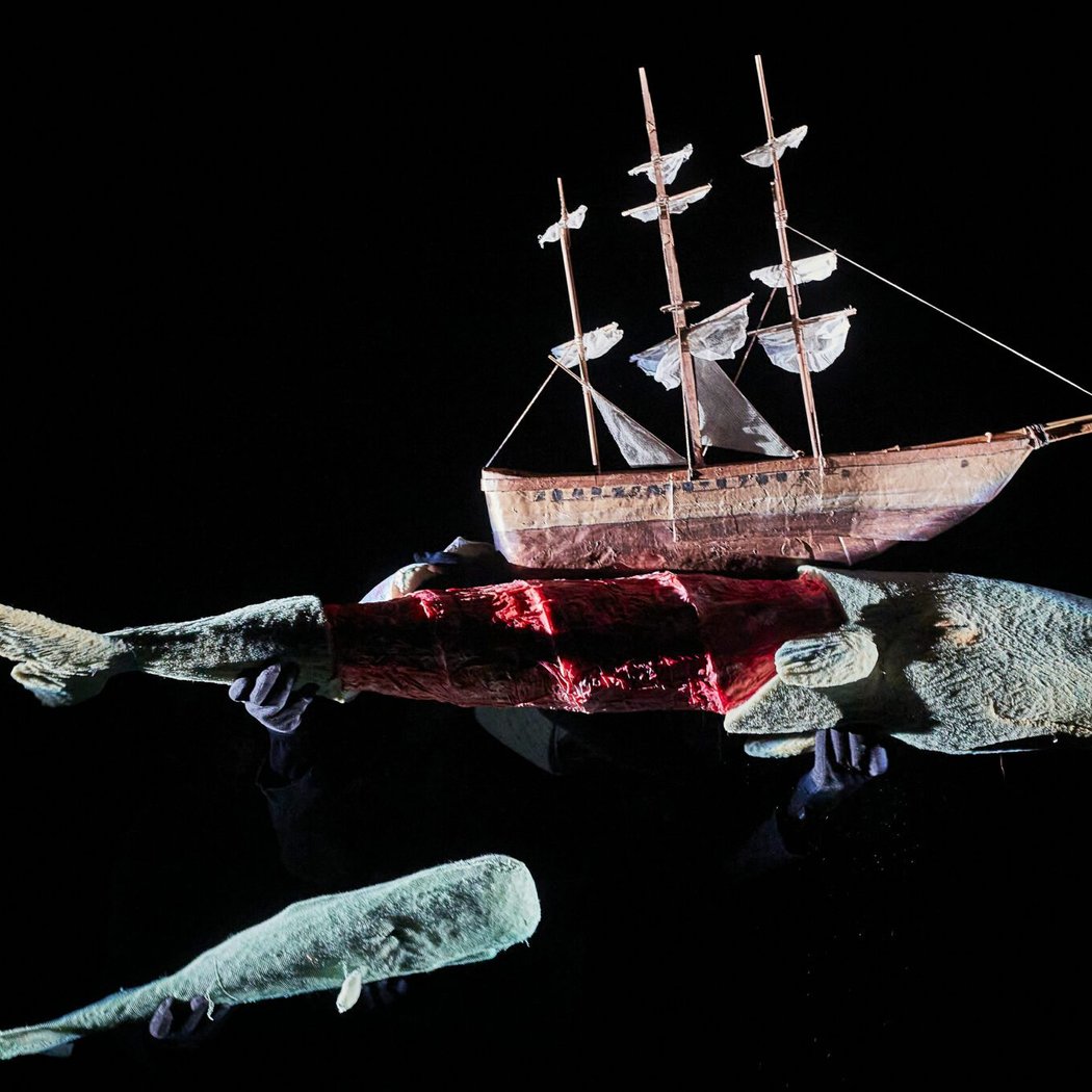 Moby Dick 3