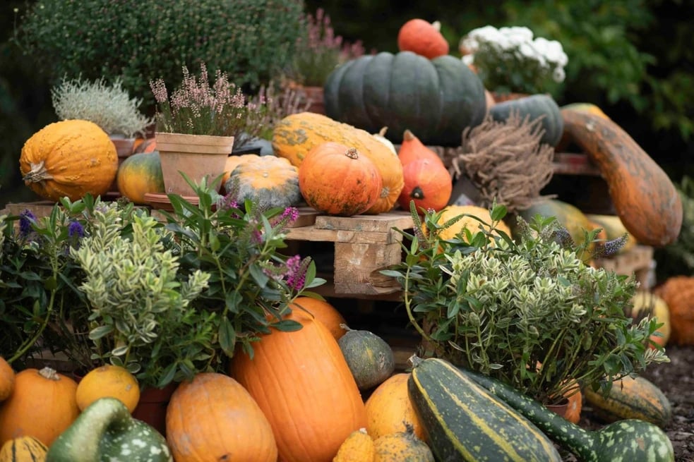 Pumpkin Exhibition — A Prehistoric World 2