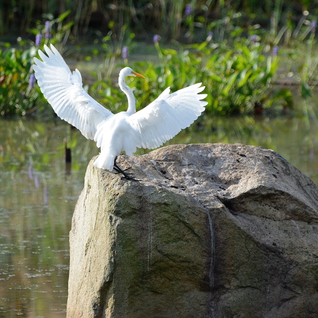Kids Week: Spring Nature Scavenger Hunt 1