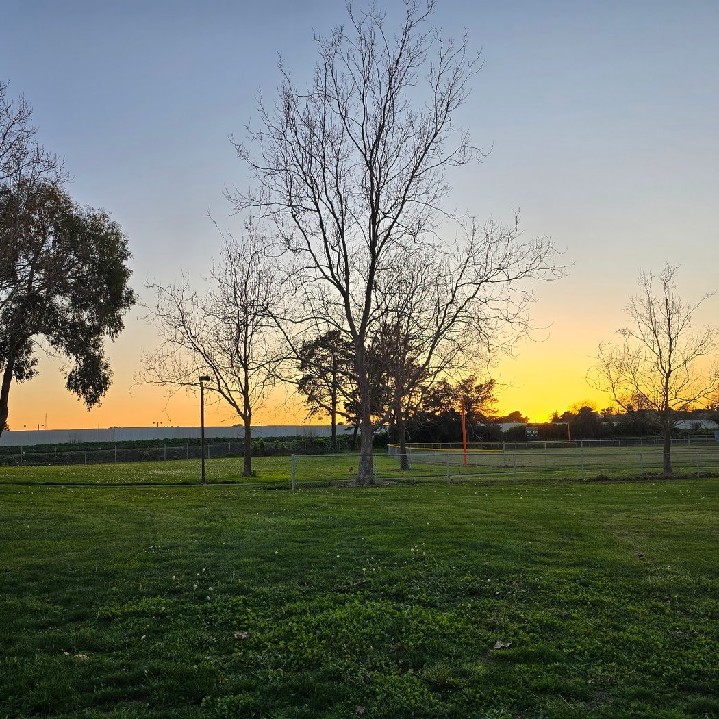 Wilson Park | GVRD 3