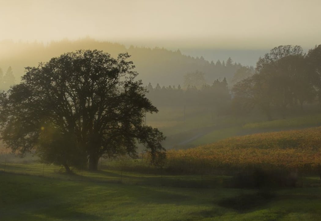 Benton-Lane Winery 3