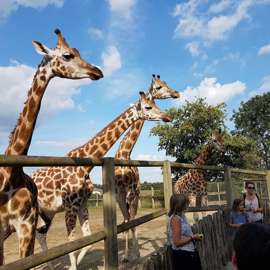 Natur'Zoo Mervent 2