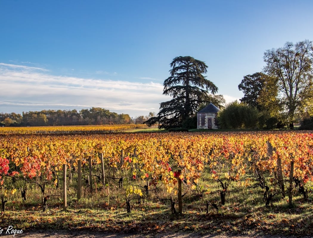 Château Picque Caillou 3