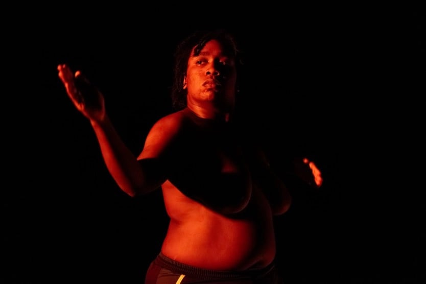 Soirée Rhizome #Festival Artdanthé : Eli Mathieu-Bustos - Darius Dolatyari-Dolatdoust 1