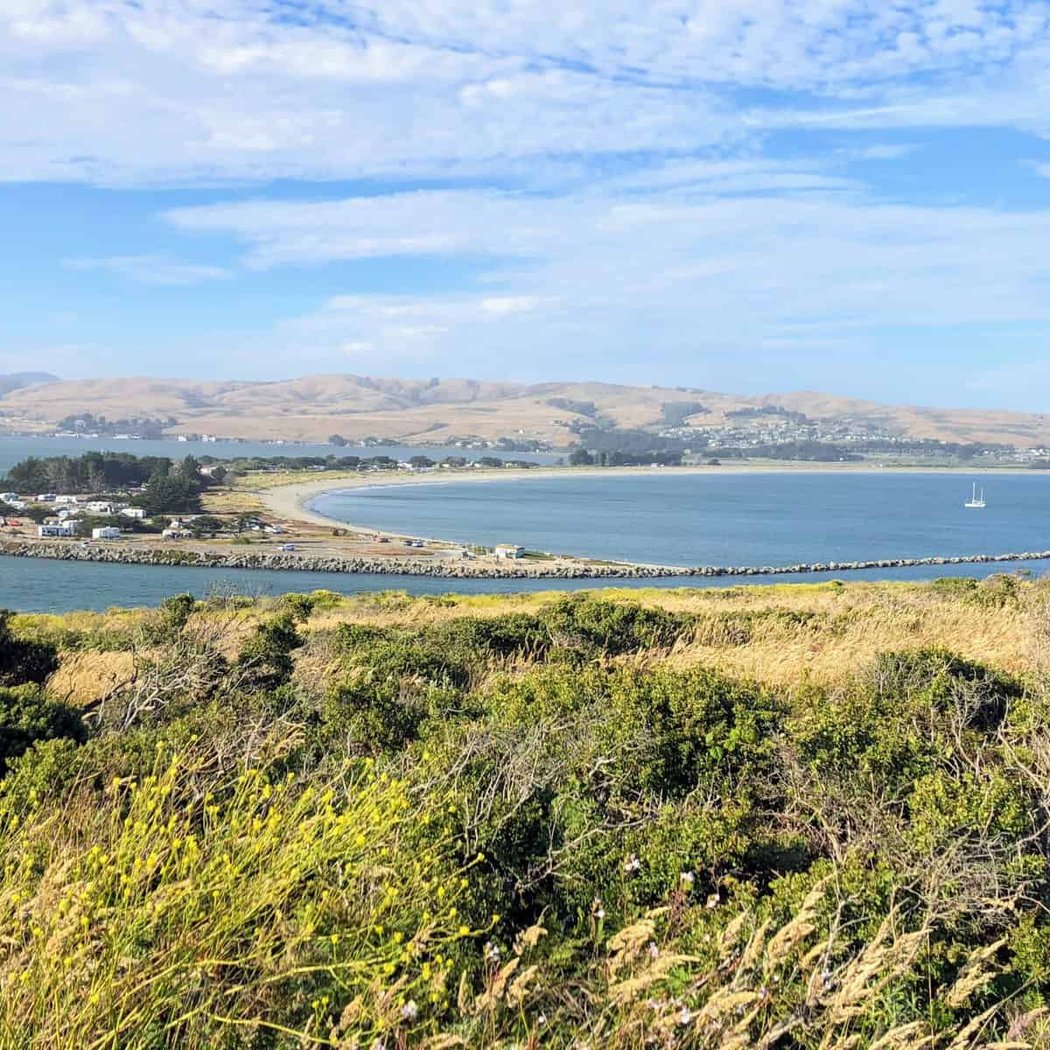 Doran Beach 2