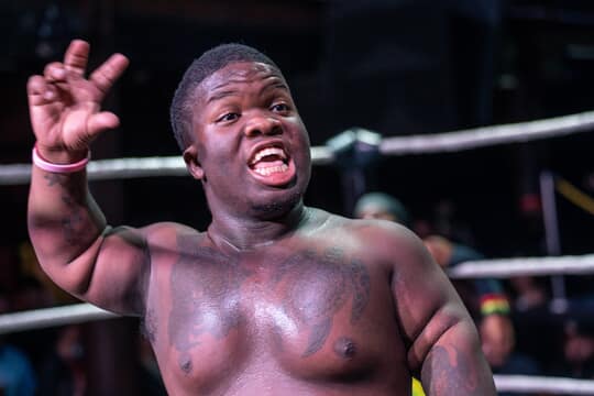 Micro Mania Wrestling 3