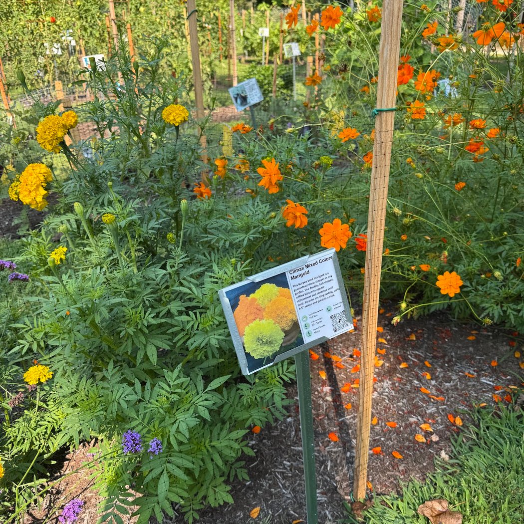 Bard Farm Stand 1
