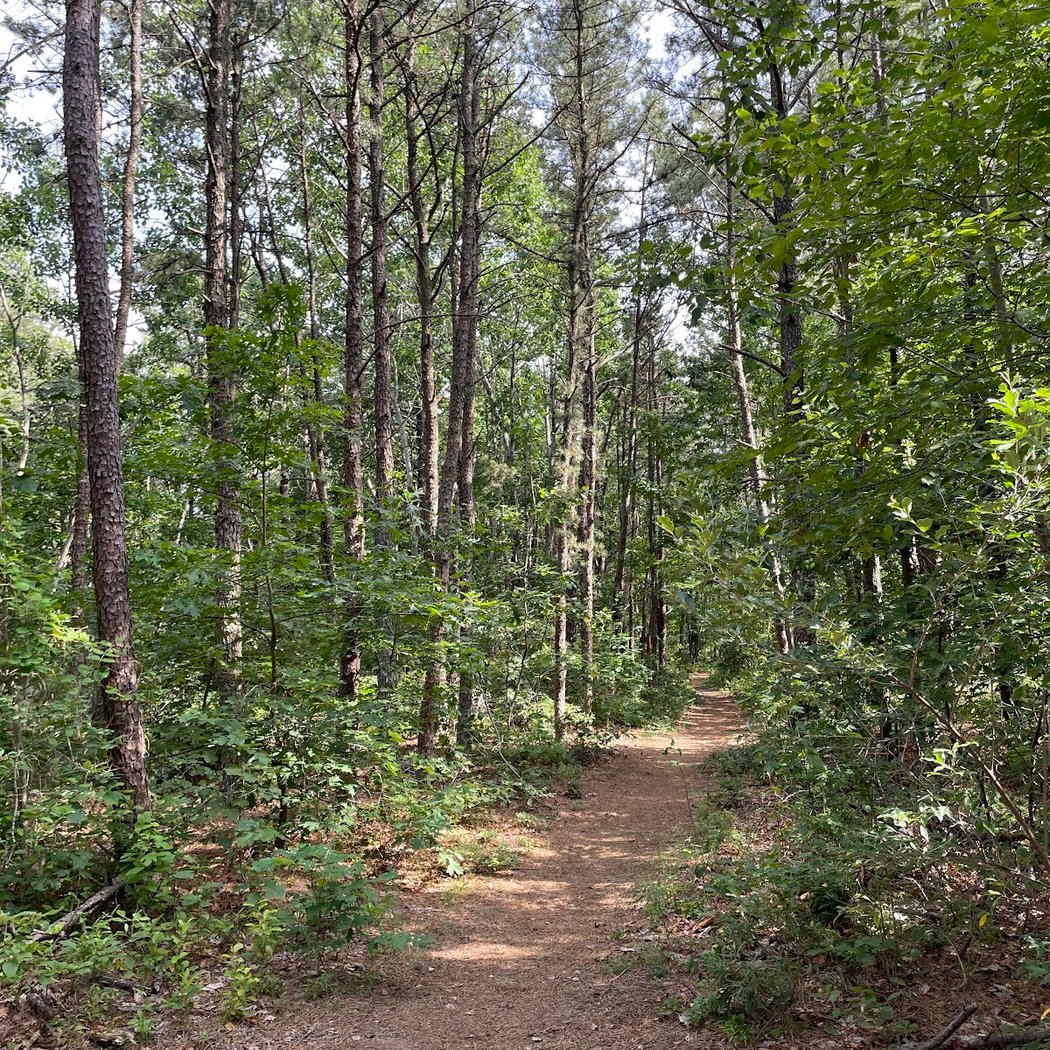 Edgewood Oak Brush Plains Preserve 4