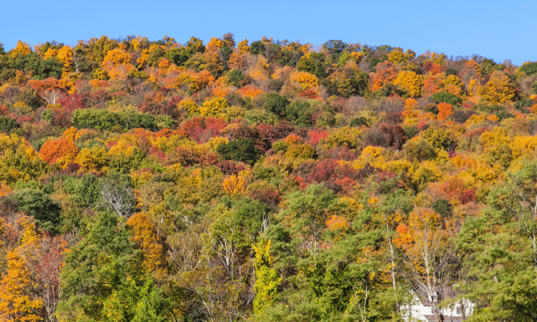 Breakneck Ridge 3