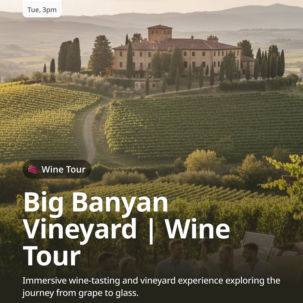 Wine Tour 1