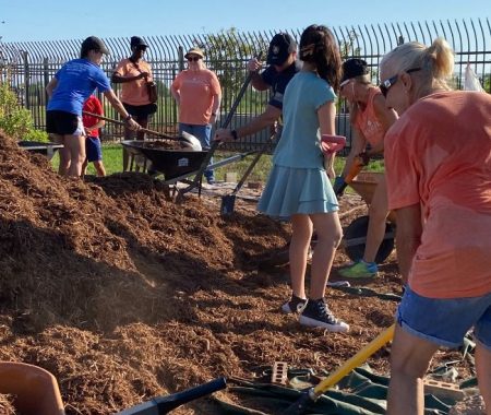 Community Garden Volunteer Shift 1