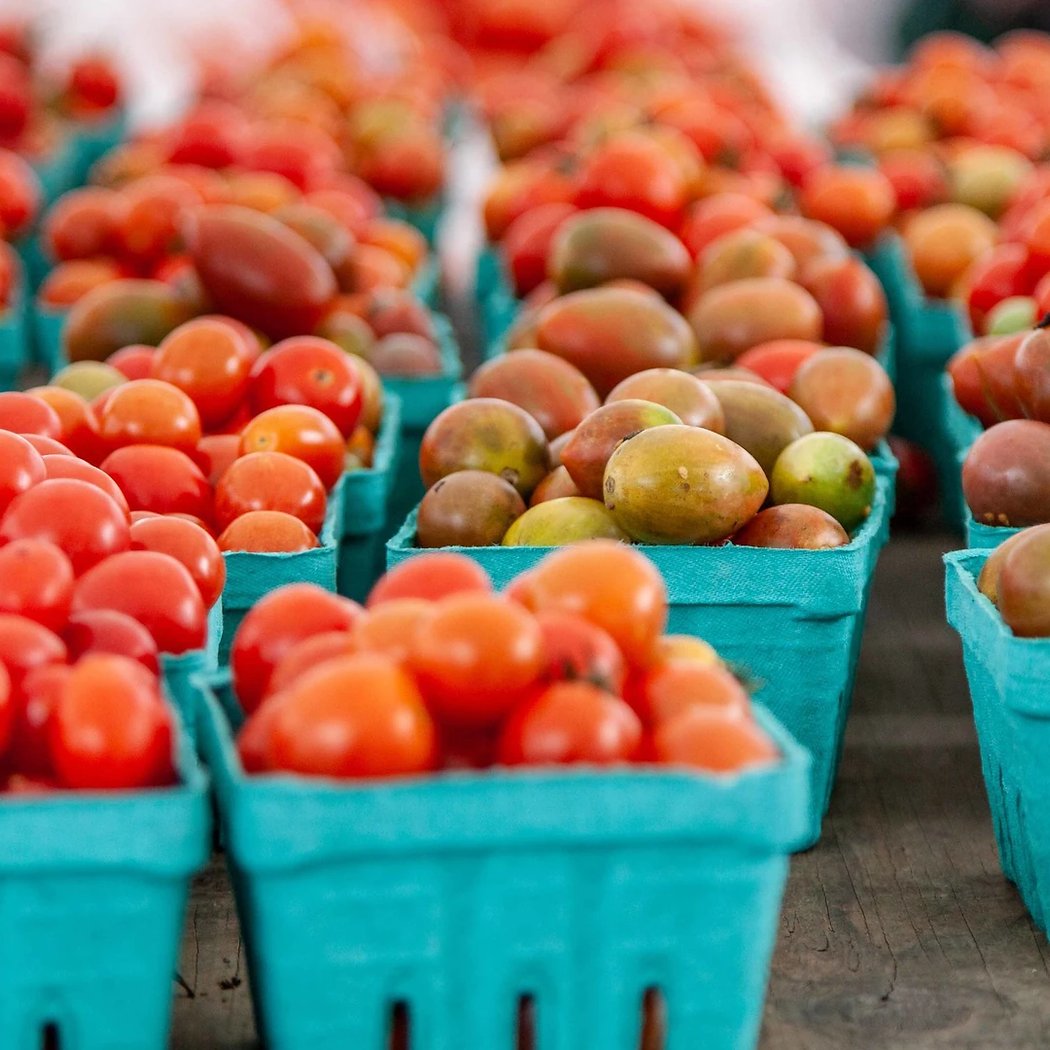 Union Square Greenmarket 1