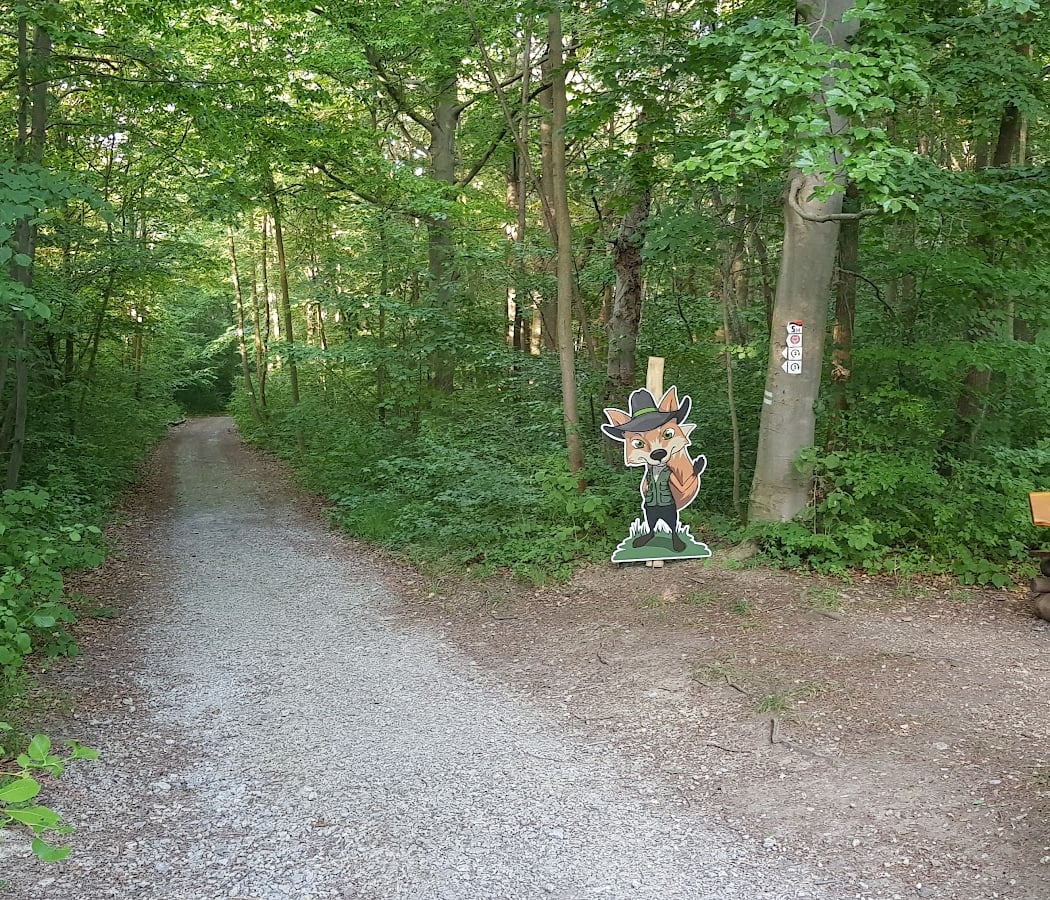 WaldPfad Schlauer Ux 3