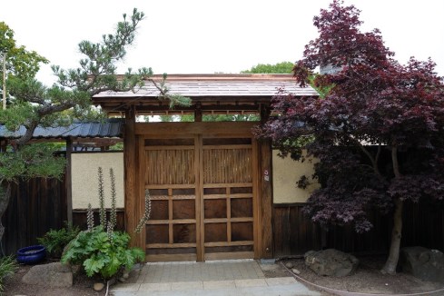 Bonsai Garden 3