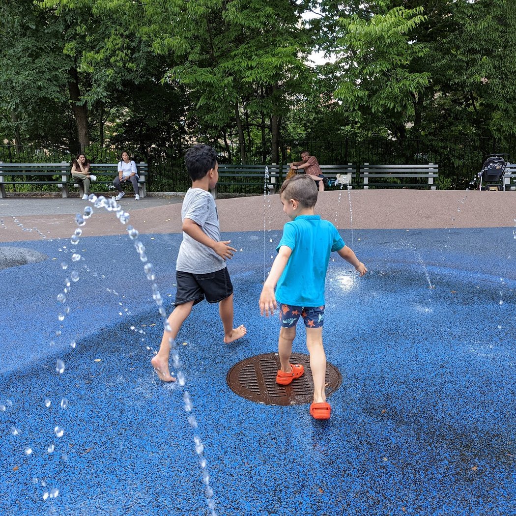 Safari Playground 4