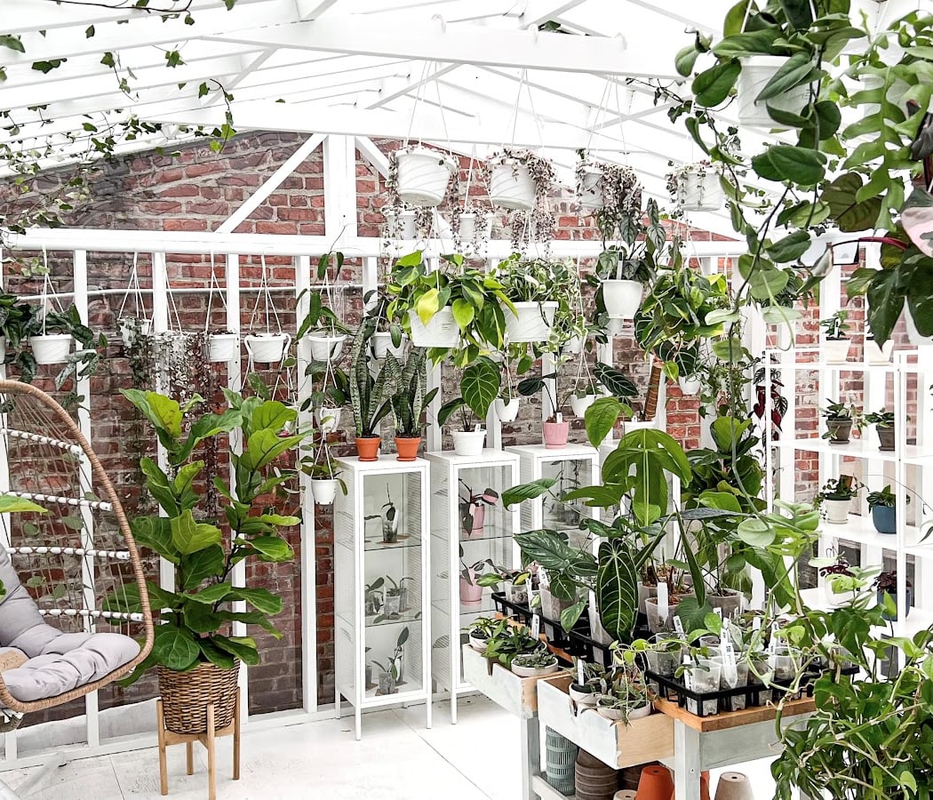 Plant The Studio 2