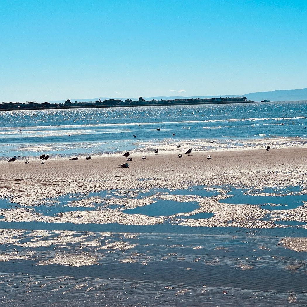 Alameda Beach Volleyball Courts 2