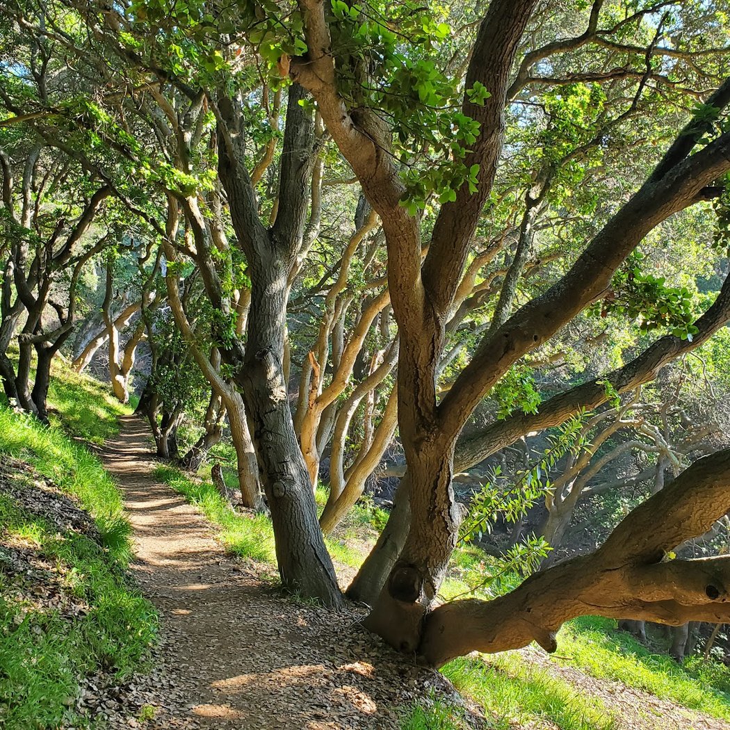Hillside Natural Area 1