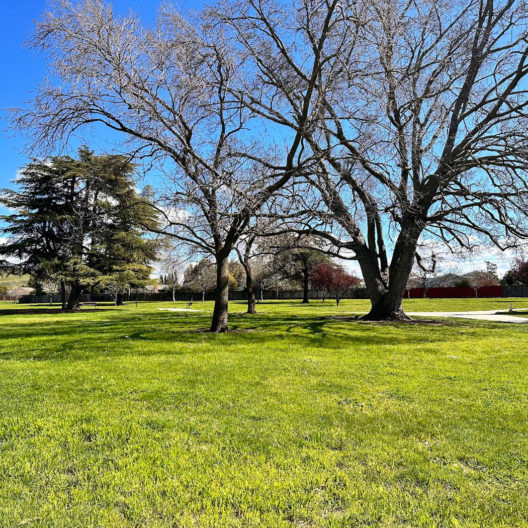 Warm Springs Community Park Playground 3