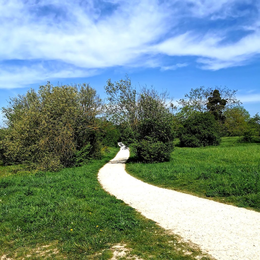 Butte d'Orgemont 5