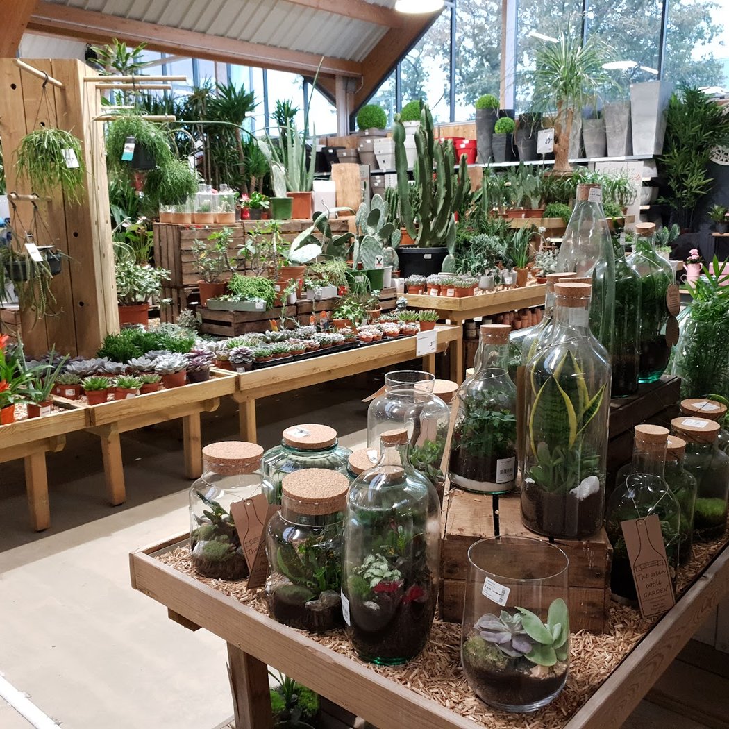 JARDILAND 1