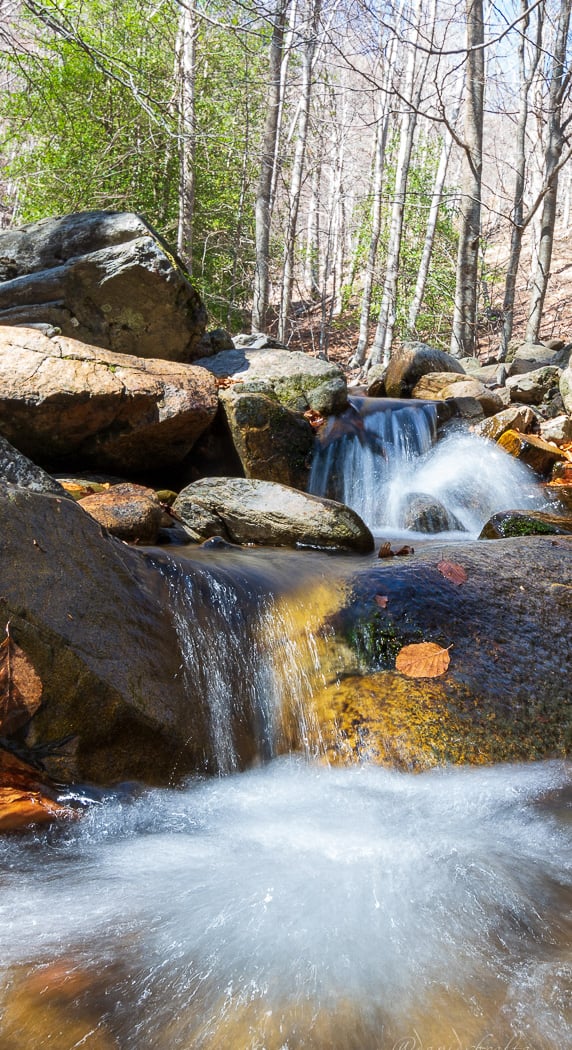 Montseny 3