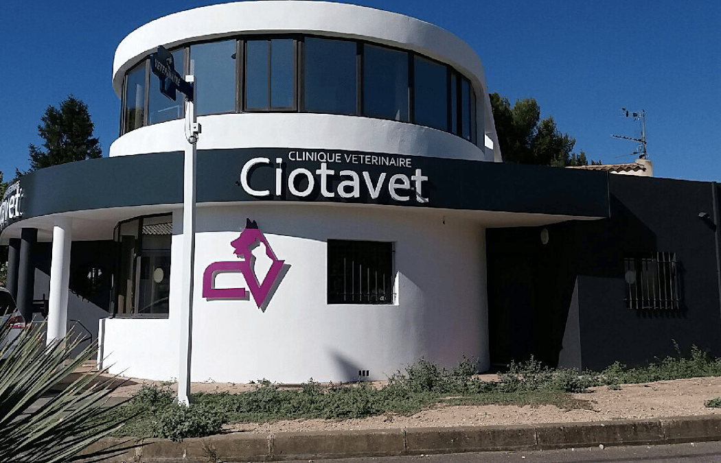 Ciotavet 3