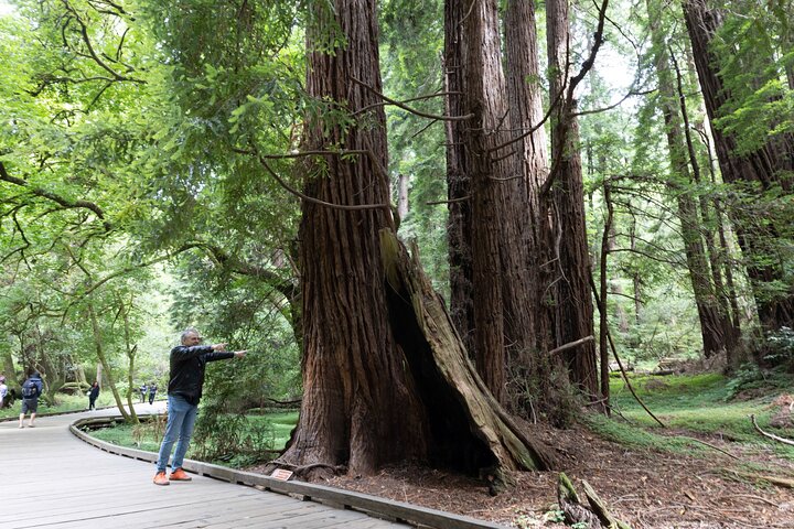 Muir Woods and Sausalito Tour Entrance Fee Included 1