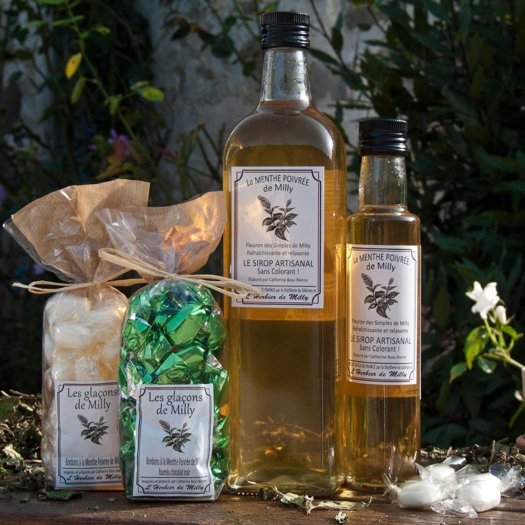 L'herbier de Milly la Foret 1