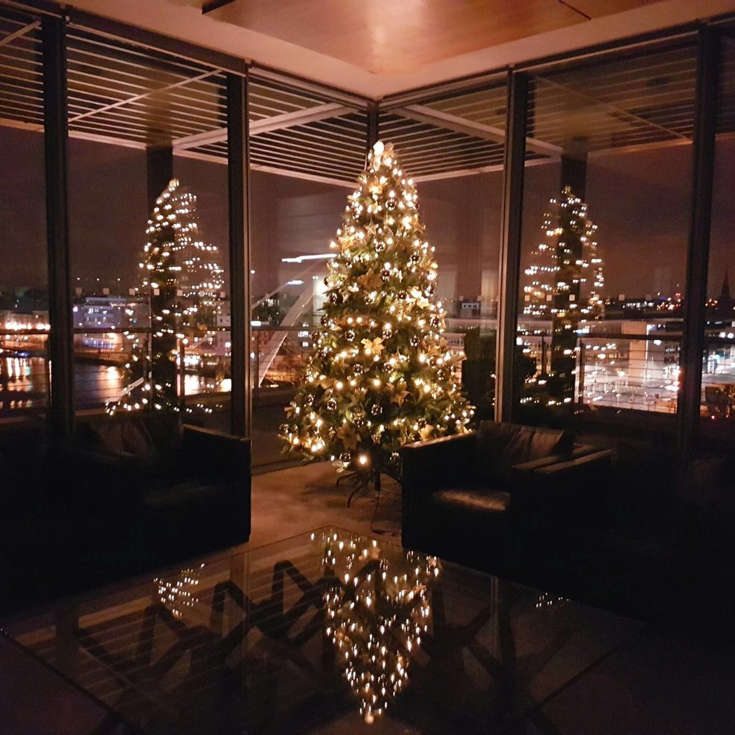 Irish Christmas trees 3