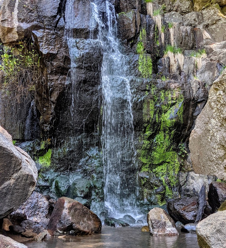 Biodiversity, Forest Stewardship & Resilience Hike 1
