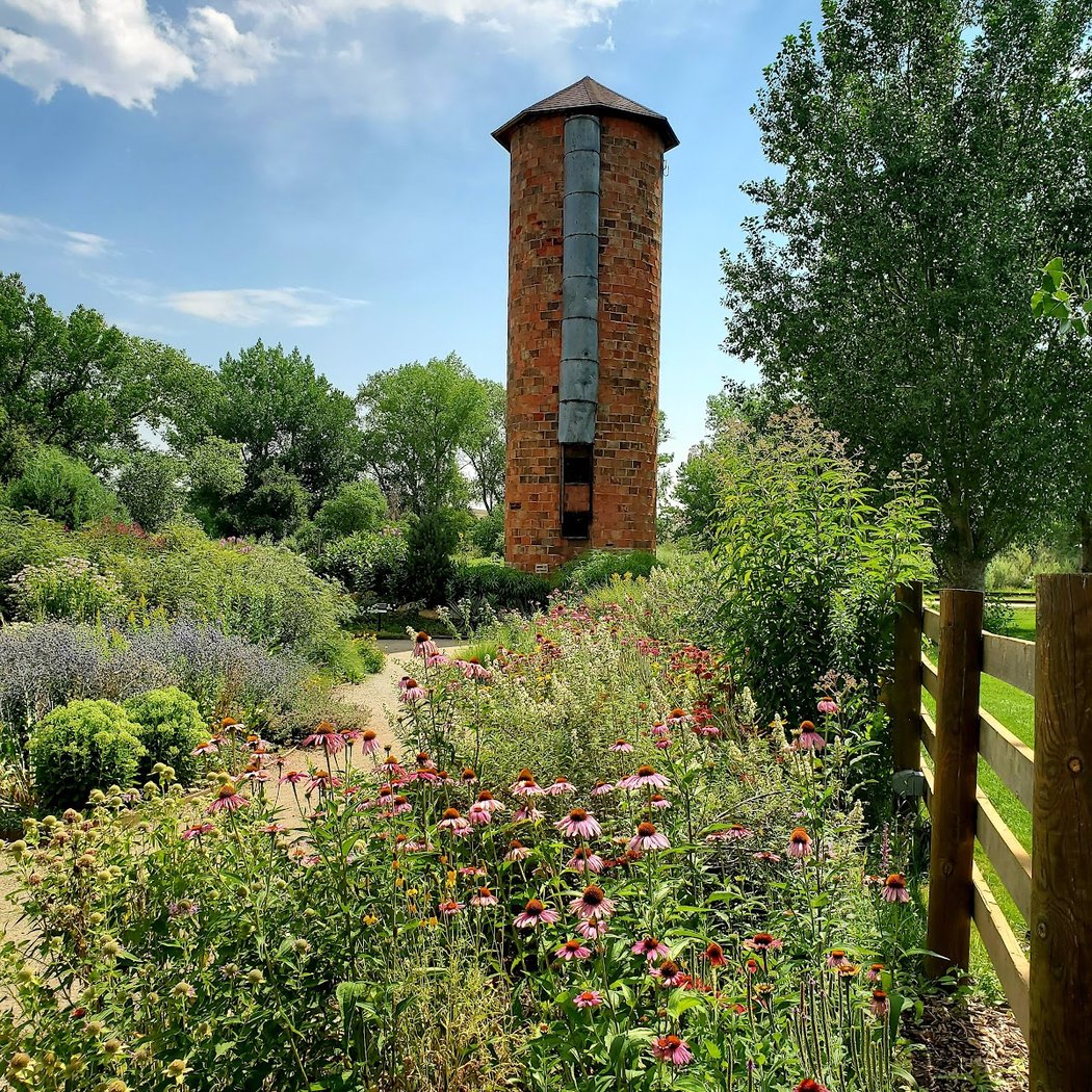 Mindful Birdwatching at Chatfield Farms 1