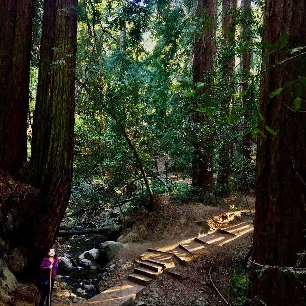 Bridgeview Trail at Monterey Blvd 1