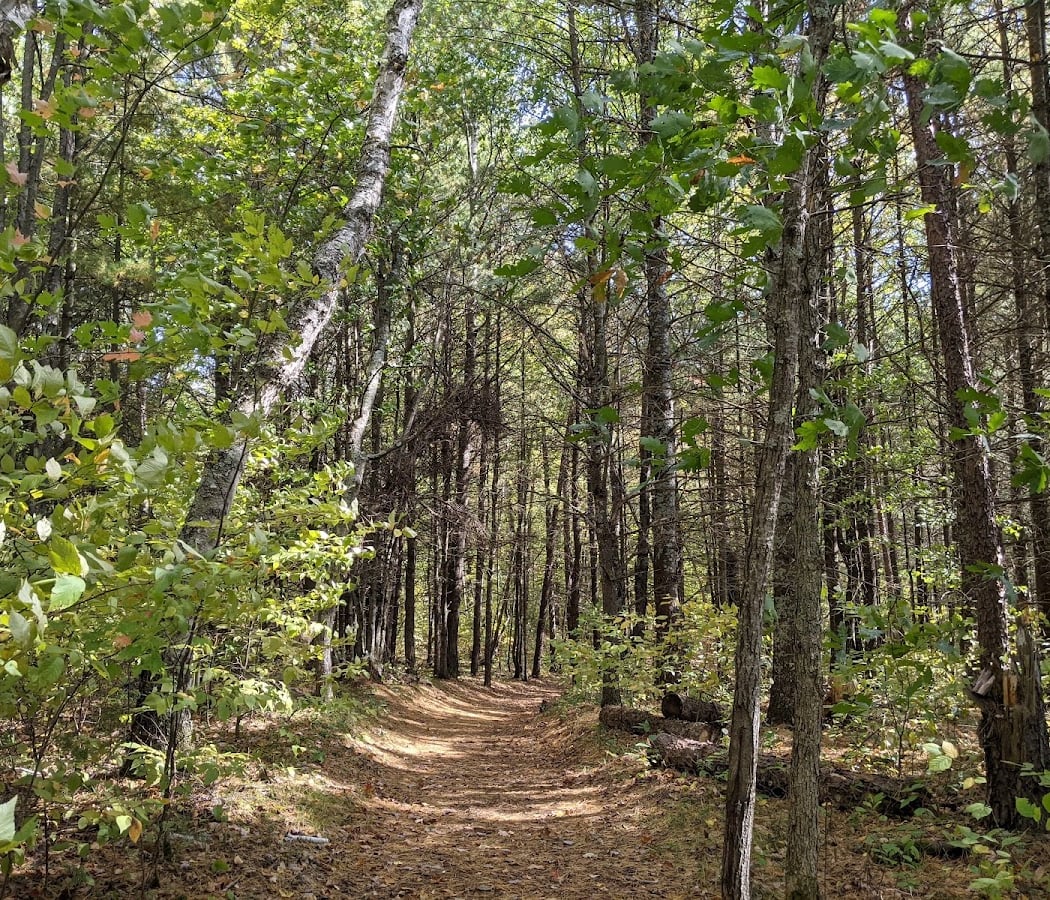 Wild Wanderers: Namekagon Northwoods 2