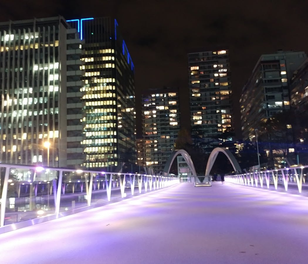 Passerelle François Coty 1