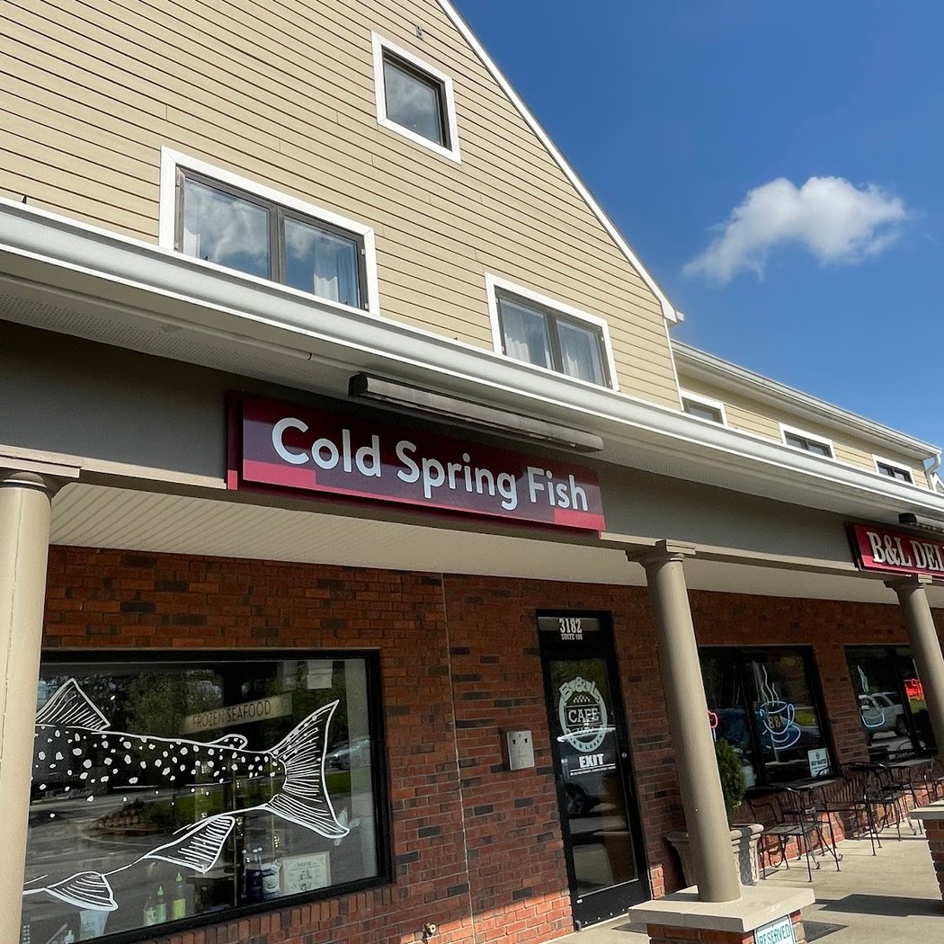 Cold Spring Fish 2