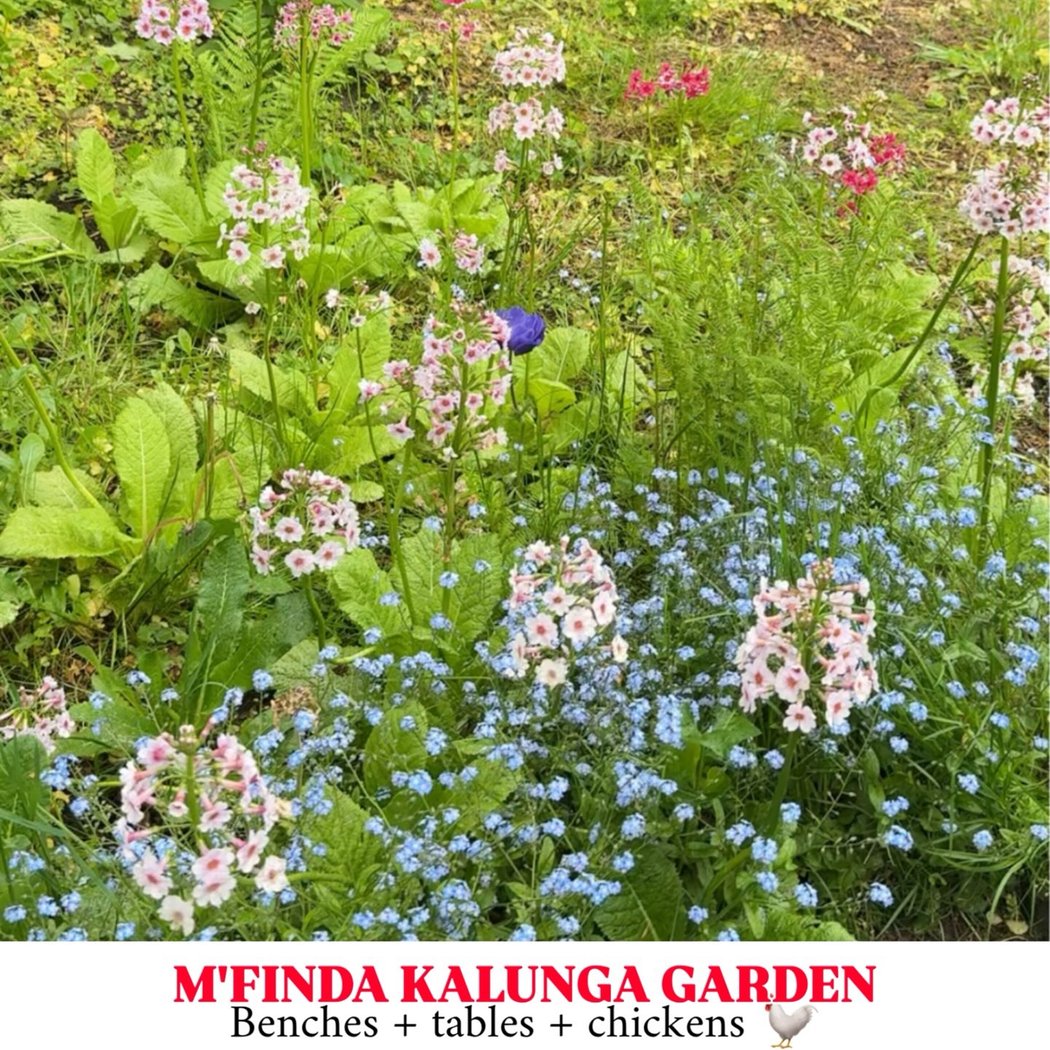 M’Finda Kalunga Garden 1