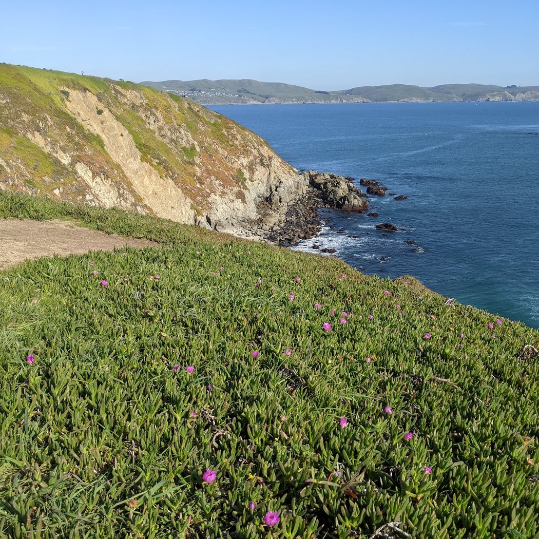 Bodega Head Trail 1