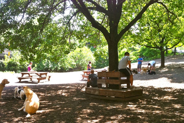 Hillside Dog Park 1