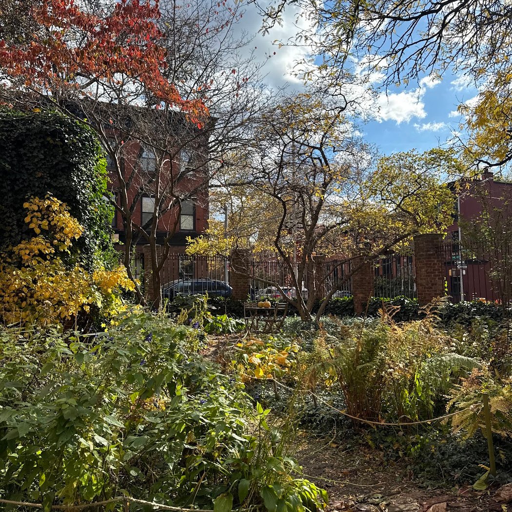 Winter Garden Project 2